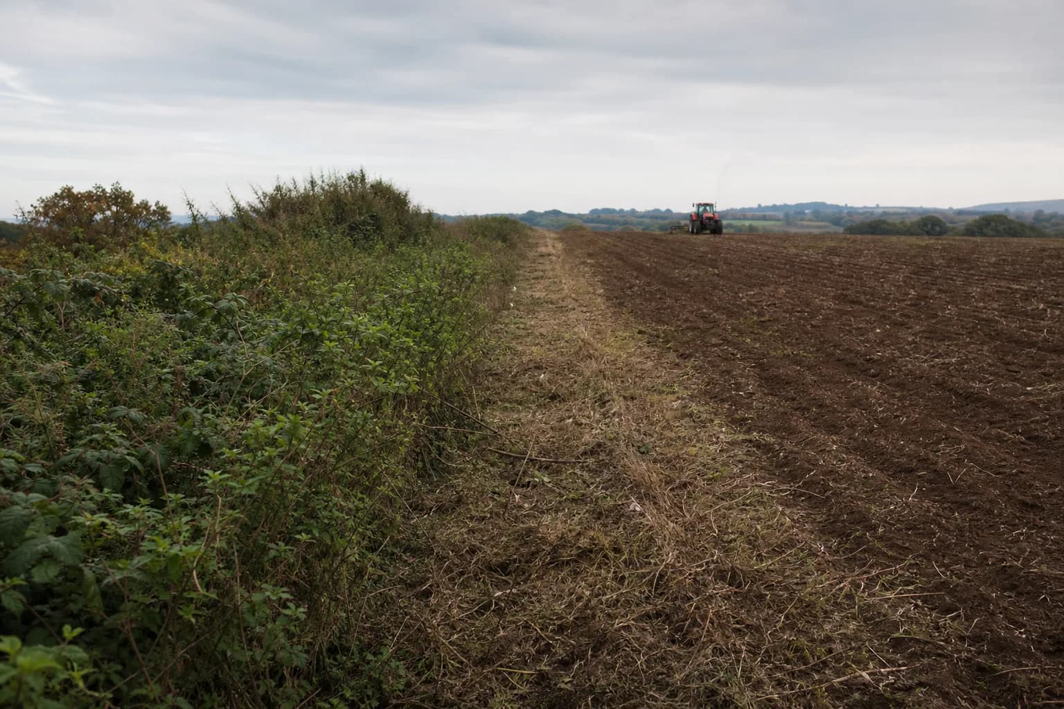Cleared agricultural field with machinery after overgrowth has been removed